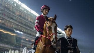 2025年凱旋門賞、登録馬78頭…シンエンペラー、クロワデュノールなど