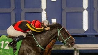 【ヴィクトリアマイル】アスコリピチェーノは484kg…出走馬の調教後の馬体重