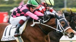 母は重賞4勝馬 3戦全て2着のスマートミストラルが初V狙う