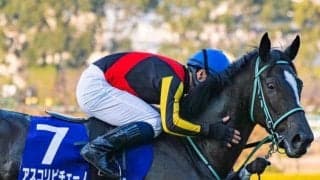 【ヴィクトリアM枠順確定】アスコリピチェーノは8枠17番、ステレンボッシュは1枠2番