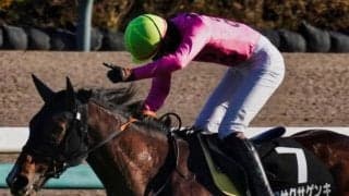 【京都HJ枠順確定】アサクサゲンキは8枠10番、アンクルブラックは5枠5番