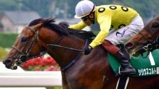 【新潟大賞典枠順確定】シリウスコルトは4枠8番、レガーロデルシエロは6枠12番