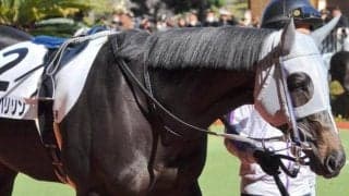 半兄に天皇賞(春)覇者とJpnI・4勝馬 メイショウハリソンが初勝利なるか