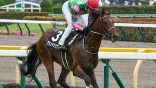 新潟大賞典は道悪必至 グランドカリナンの一発があるぞ