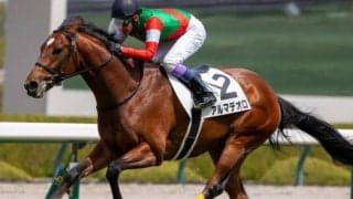 半兄は名馬キタサンブラック アルマデオロが待望の初勝利なるか