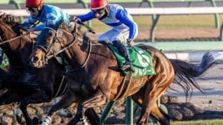 ヴィクトリアマイルは道悪濃厚 アルジーヌを推す理由とは？