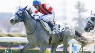 半姉は香港ヴァーズ覇者のウインマリリン ウインスティーガが連勝なるか