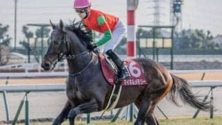 新潟芝はイン悪化が顕著 新潟大賞典は道悪巧者のマイネルメモリーで勝負だ