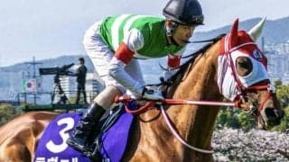 近10年で勝率は25%！ ヴィクトリアMの“外せない”枠とは