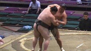 「ローラに似てる」褐色のイケメン力士に熱視線「未経験でこれはやばい」