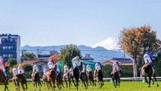 BSイレブン賞の「11番」＆テレ玉杯の「3番」 チャンネル番号と同じ馬番の成績は？