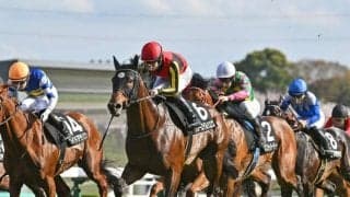 【今日の注目ポイント】新潟大賞典と京都HJの2重賞