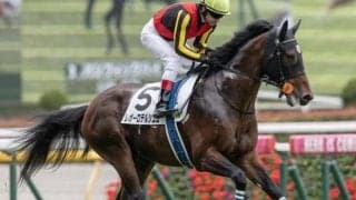  【新潟大賞典予想】過去10年で1番人気0勝と不振 実績上位馬には厳しいレース