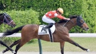  【京都HJ予想】名物「三段跳び」含む18回の障害越え 難コースを制すには先行力も欲しい