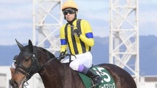 【競馬予想】ヴィクトリアマイルで狙うべき「マイルＧⅠに強い血統」は？　コース適正も踏まえ２頭に期待