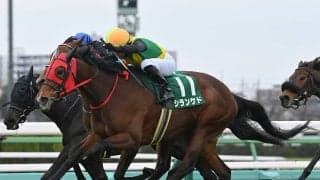 【競馬予想】ヴィクトリアマイルも波乱の予感...東京の直線がハマりそうな伏兵の一発に期待