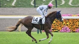 【東京4R】ブリックスアンドモルタル産駒 リポサンテが２馬身半差完勝