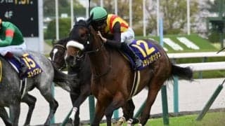 【ヴィクトリアM予想】大敗直後の馬は前走の距離に注目！ 牝馬トップクラスの能力馬に立ちはだかる消去法データとは