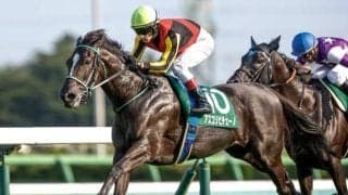 【ヴィクトリアM前日オッズ】アスコリピチェーノが3.3倍で1番人気