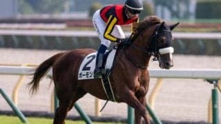 【テレ玉杯】エアグルーヴ一族のボーモンド C.ルメール騎手で連勝なるか