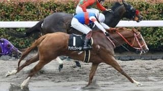 三浦皇成騎手 JRA通算1100勝達成