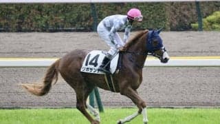 【東京4R】横山和「良い勝ちっぷり」リポサンテが快勝