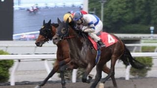 【高知・山桃特別】ヤマノアシオトが力強く差し切り勝ち…赤岡騎手とのコンビで3勝目