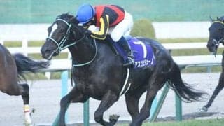 【今日の注目ポイント】春の女王決定戦・ヴィクトリアマイル