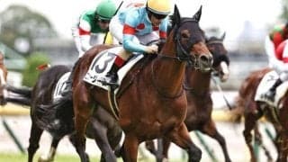 【BSイレブン賞】半姉は名牝ミッキークイーン ニュージーズがダート初挑戦だ