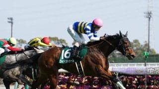 【競馬予想】ヴィクトリアマイルも「荒れる」 穴党記者が推奨する、とっておきの２頭