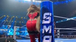 「嫌な音がした」超重量級女子レスラーの“ケツアタック”で鉄柱激突…悶絶の金髪美女にファンからも悲鳴「いってぇぇぇ」