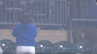 一体、何が起きた…？ ガラガラの観客席に“まさかの珍光景” 予期せぬゲストが乱入してウロウロ… 中継カメラがとらえた激レアシーン