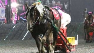 【ばんえい・カーネーションカップ】カフカが重賞初制覇…渡来「びっくりしました」