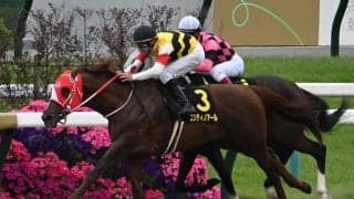 【JRA・WIN5】本日のWIN5は的中131票、配当378万9600円