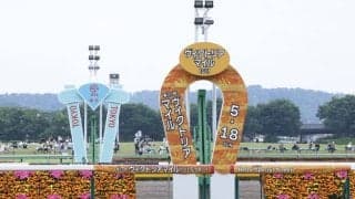 【ヴィクトリアマイル】ルメール騎乗 アスコリピチェーノの大外一気が炸裂