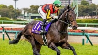 【日本ダービー】ミュージアムマイル、クロワデュノールなど20頭が登録