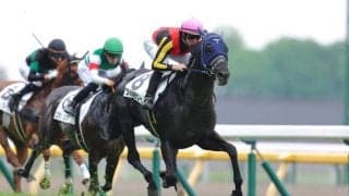 【東京8R】単勝1.3倍フォルラニーニが人気に応える