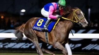 【平安S】メイショウハリオ、ブライアンセンスらが登録