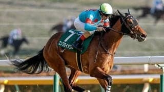 牝馬クラシック二冠目・オークスと平安S/今週の競馬界の見どころ