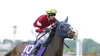 【ヴィクトリアマイル】武豊「かかりました」レース後ジョッキーコメント