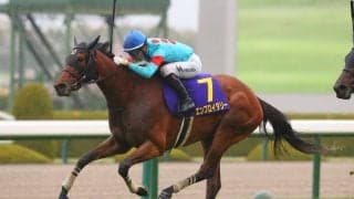 【オークス登録馬】エンブロイダリーなど20頭