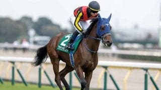 【オークス】主要な記録を一挙紹介 全85回の歴史で最多優勝騎手・調教師・馬主とは？
