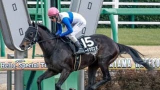 【平安S見どころ】近走の活躍が目覚ましいロードクロンヌに注目