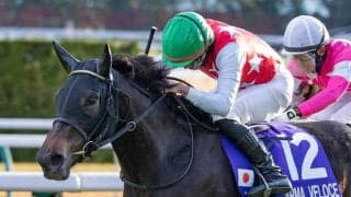 【オークス見どころ】安定感抜群のアルマヴェローチェを狙う