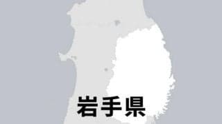 バスケ岩手ビッグブルズ、プレーオフ制してB2に昇格　新潟に連勝