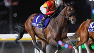 【大井記念枠順】重賞3連勝中のキングストンボーイは7枠12番