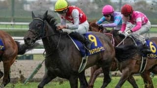 【AI予想・オークス】王道路線を歩む馬が主役!? 人工知能も桜花賞上位馬を素直に評価