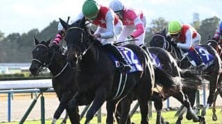 【オークス想定騎手】アルマヴェローチェは岩田望来騎手、エンブロイダリーはC.ルメール騎手