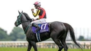 ダイワメジャー産駒の秀でたスピード能力に大舞台向きの底力を与える「サドラーズウェルズ」の血