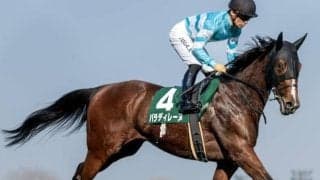 【オークス】同期5人目のGI制覇へ 丹内騎手がパラディレーヌと挑む